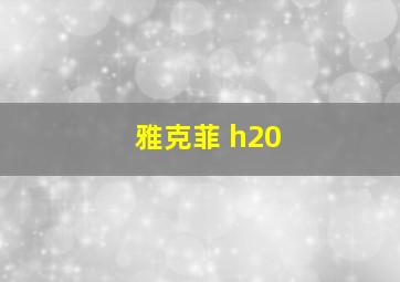 雅克菲 h20